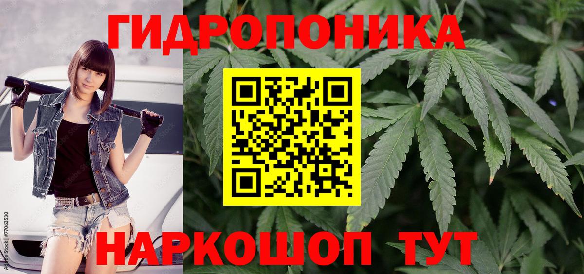 Чернушка  Марихуана OG Kush  Марихуана конопля  Вход с VPN 